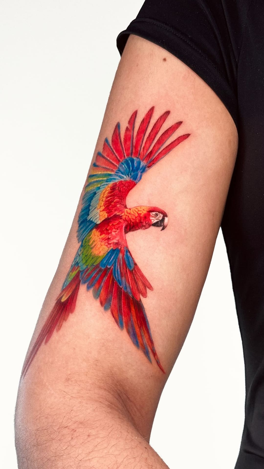 Arara, tatuagem de Júlia Freire